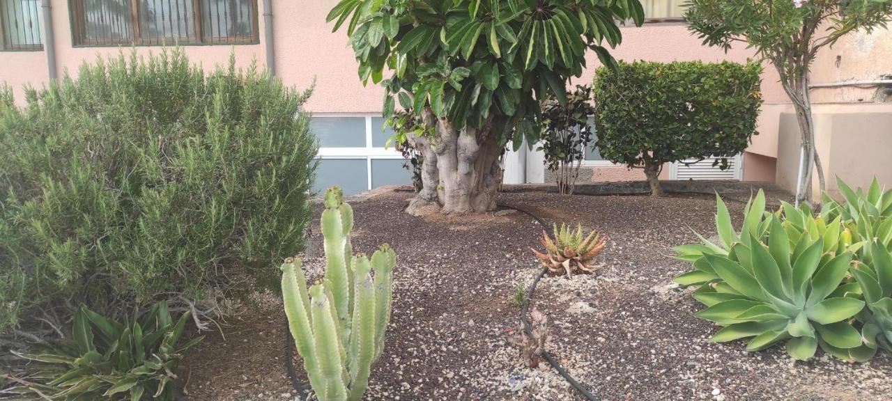 Acapulco Paradise Playa Feñabe Dış mekan fotoğraf