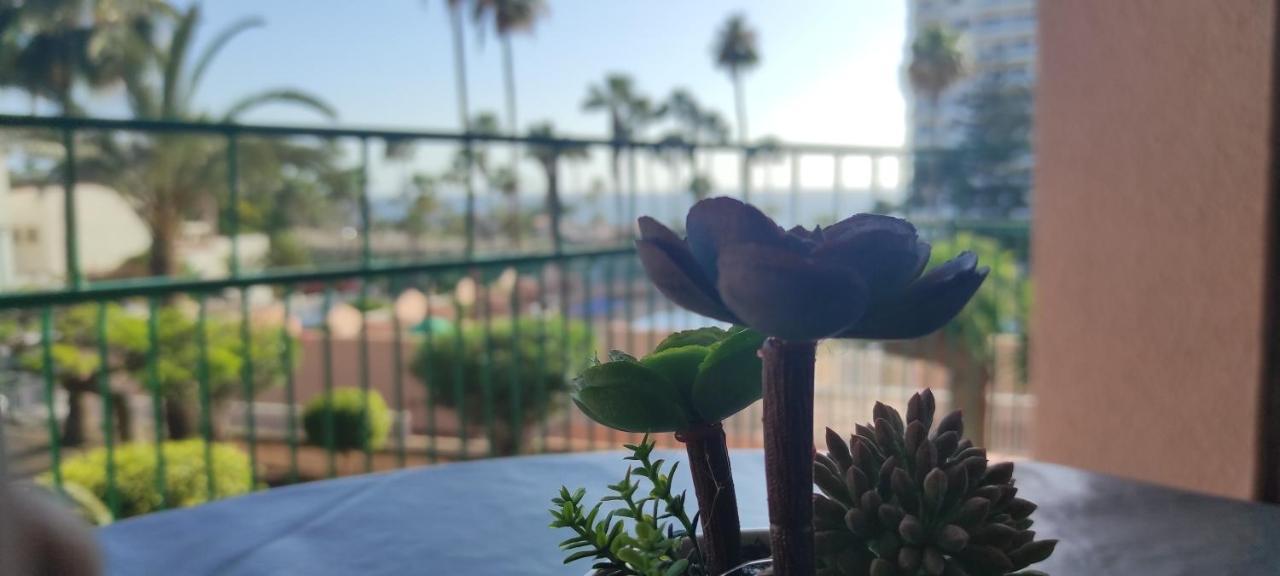 Acapulco Paradise Playa Feñabe Dış mekan fotoğraf