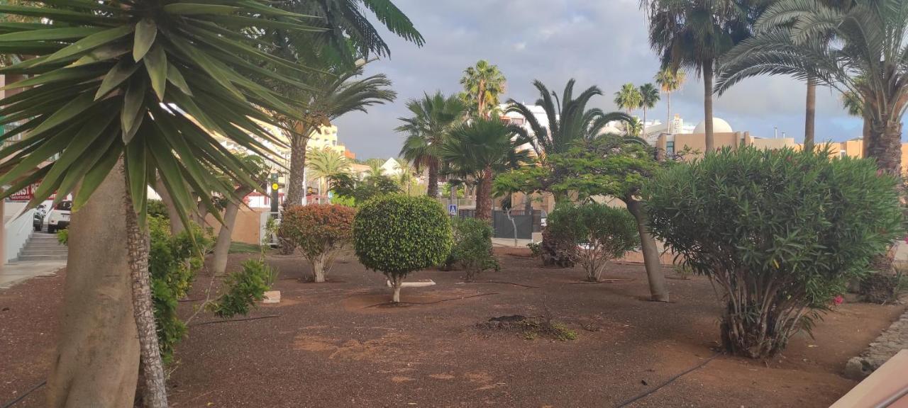 Acapulco Paradise Playa Feñabe Dış mekan fotoğraf
